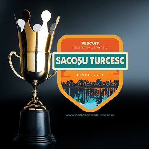 BST2 - Concursuri Concursuri Sacosu Turcesc